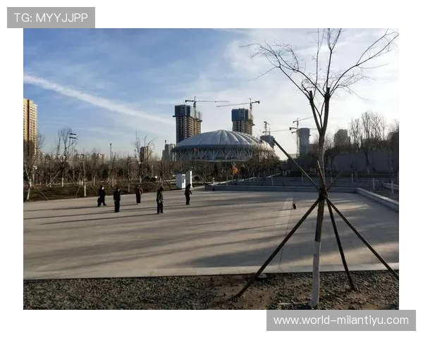 b0b体育用户评价：真实用户的使用体验与平台优缺点全面分析